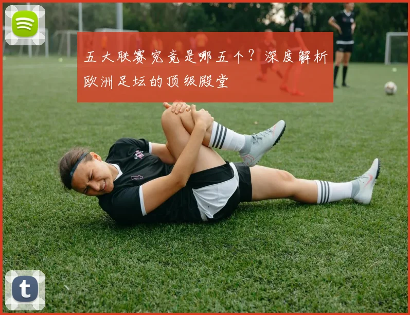五大联赛究竟是哪五个?深度解析欧洲足坛的顶级殿堂