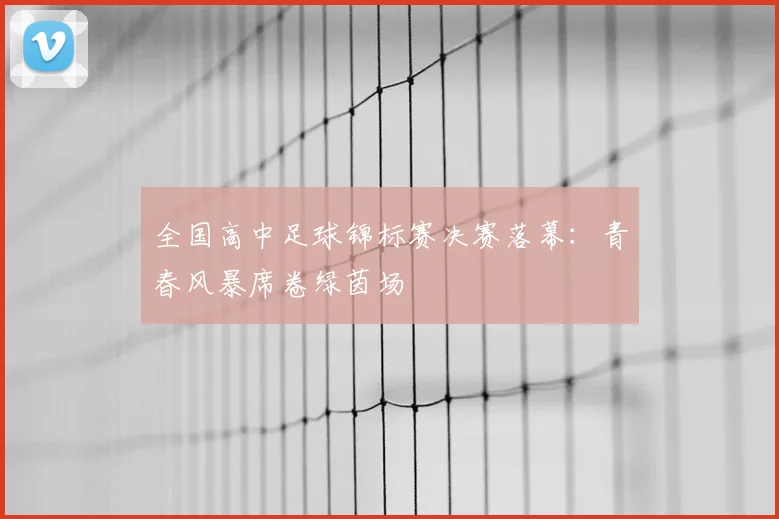 全国高中足球锦标赛决赛落幕：青春风暴席卷绿茵场