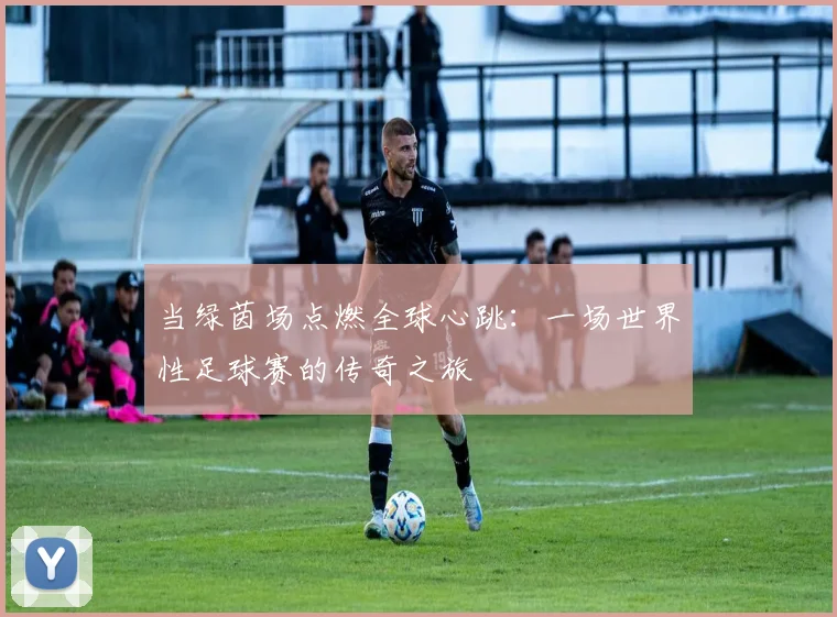 当绿茵场点燃全球心跳:一场世界性足球赛的传奇之旅