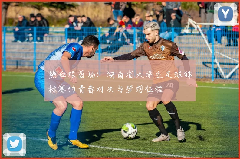 热血绿茵场：湖南省大学生足球锦标赛的青春对决与梦想征程