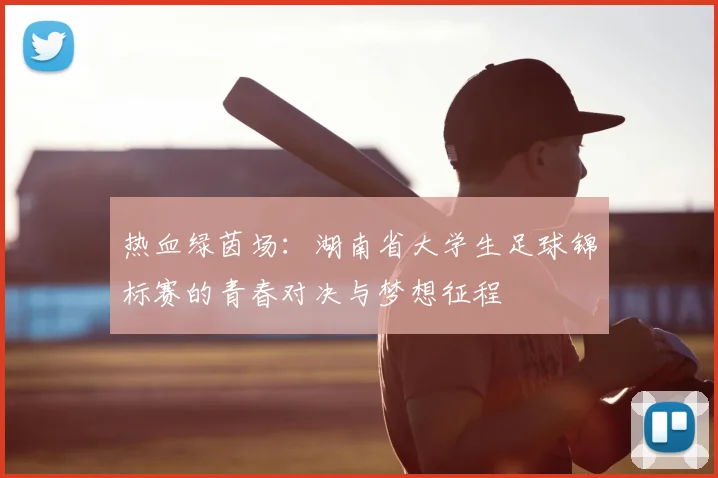 热血绿茵场:湖南省大学生足球锦标赛的青春对决与梦想征程